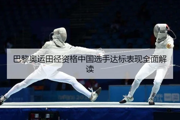 ba-li-ao-yun-tian-jing-zi-ge-zhong-guo-xuan-shou-da-biao-biao-xian-quan-mian-jie-du-2-156.jpg
